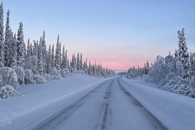 Full-Day Reindeer Tour with Pickup in Kiruna - The farm day begins: leaving Kiruna behind after about 1h15