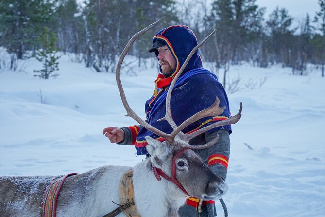 Full-Day Reindeer Tour with Pickup in Kiruna - Reindeer sledding on a 1 km trail: fun, but short
