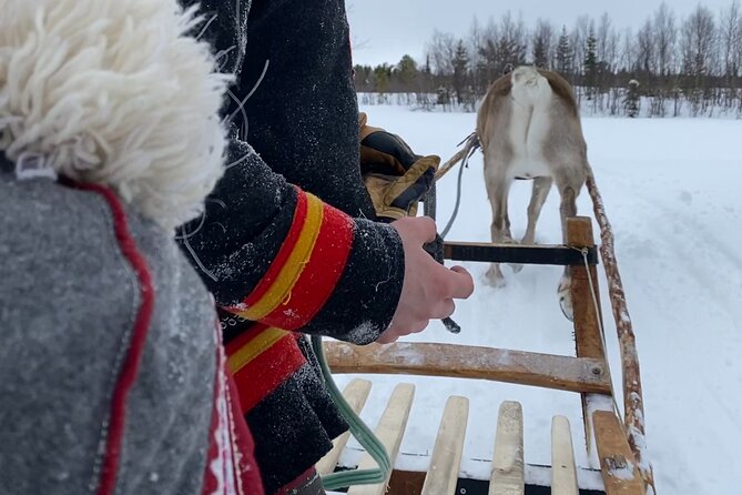 Full-Day Reindeer Tour with Pickup in Kiruna - Lunch in a traditional tent, and why it feels different