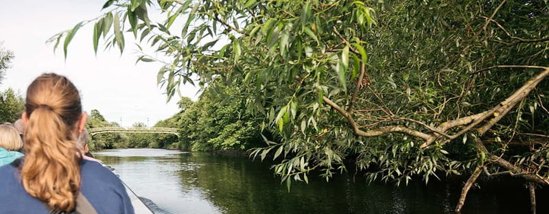 Gothenburg: Paddan Sightseeing Cruise on the River Säveån - Key things to know before you go
