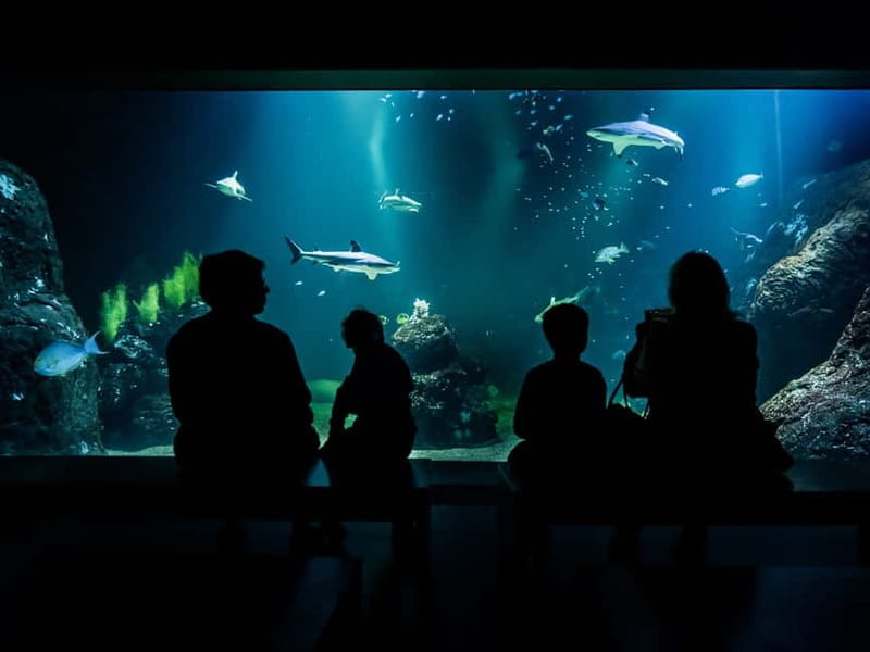 Gothenburg: Universeum Entry Ticket - Universeum at a Glance: what makes this ticket worth it