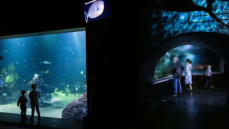 Gothenburg: Universeum Entry Ticket - Universeum in one day, what you can actually fit