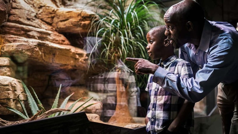 Gothenburg: Universeum Entry Ticket - Space and the moon trip: big ideas without homework
