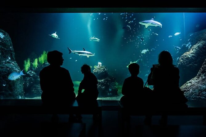 Gothenburg Universeum Ticket - Aquarium, Science, Wildlife, Zoo - Journey to the Moon and Lab Experiments: Where Hands-On Learning Wins