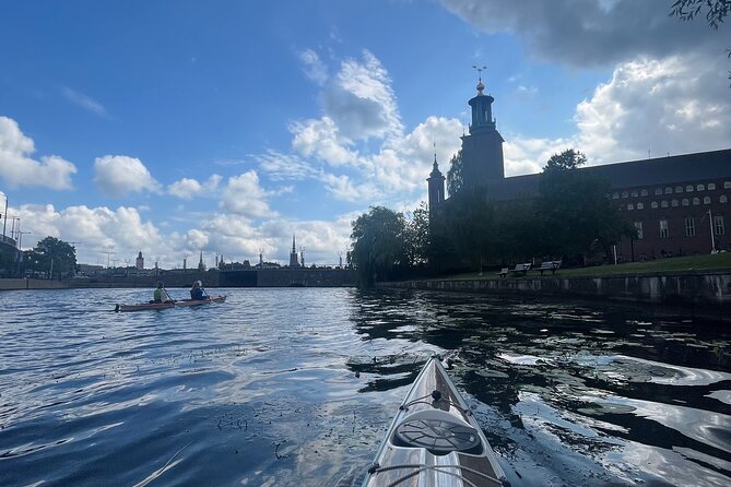 Guided Kayak Tour in Central Stockholm - Who this kayak tour is best for