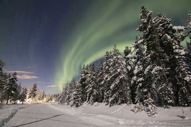 Guided Northern Lights Tour at Kiruna - The 8:00 pm Start and the Real Meaning of a 4-Hour Tour