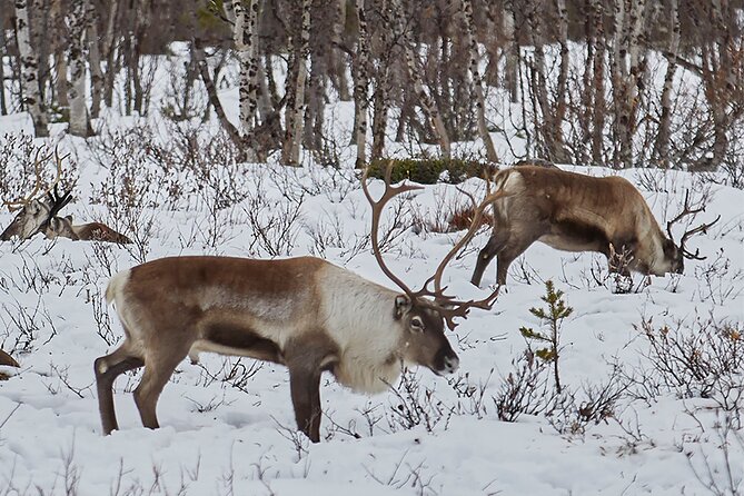 Half day Wildlife and Nature Photography - Practical tips to get more keeper photos