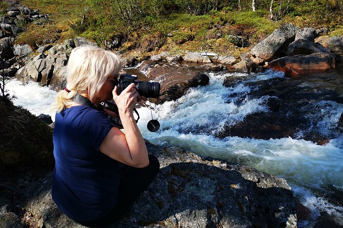 Half day Wildlife and Nature Photography - Learning your camera before you chase wildlife