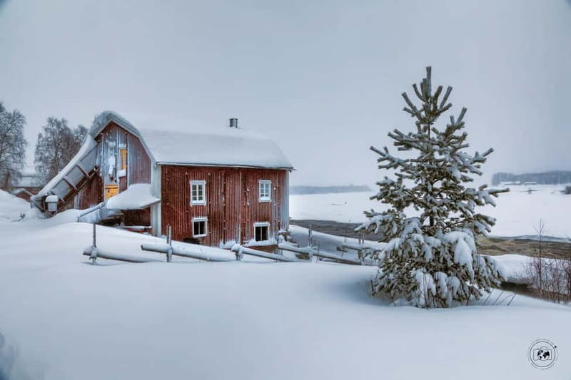 HaparandaTornio: Visit a heritage fishing village - Value for $121: what you get in a half-day