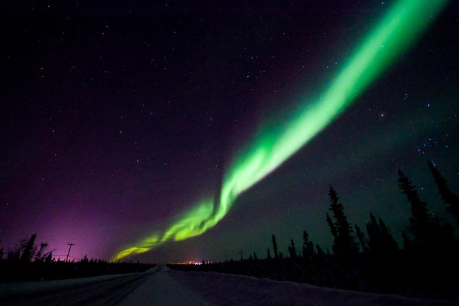 Hunt for the Northern lights in Kiruna - Abisko - The guide and the max 7-person group make it feel real