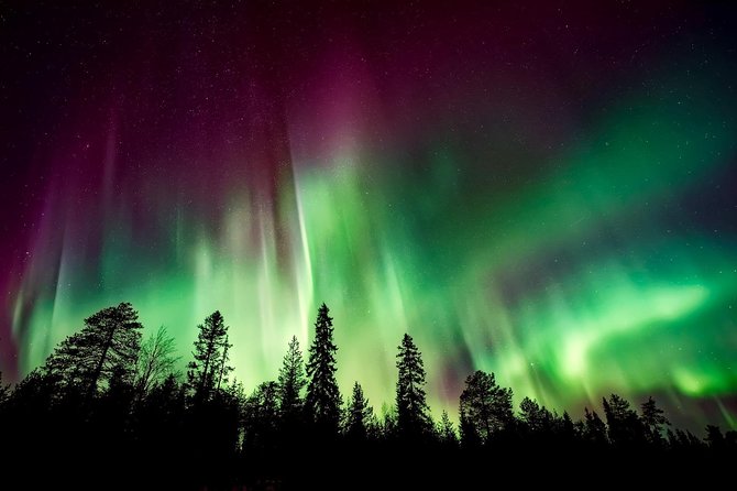 Hunt for the Northern lights in Kiruna - Abisko - Meeting point, transport, and how to plan your evening