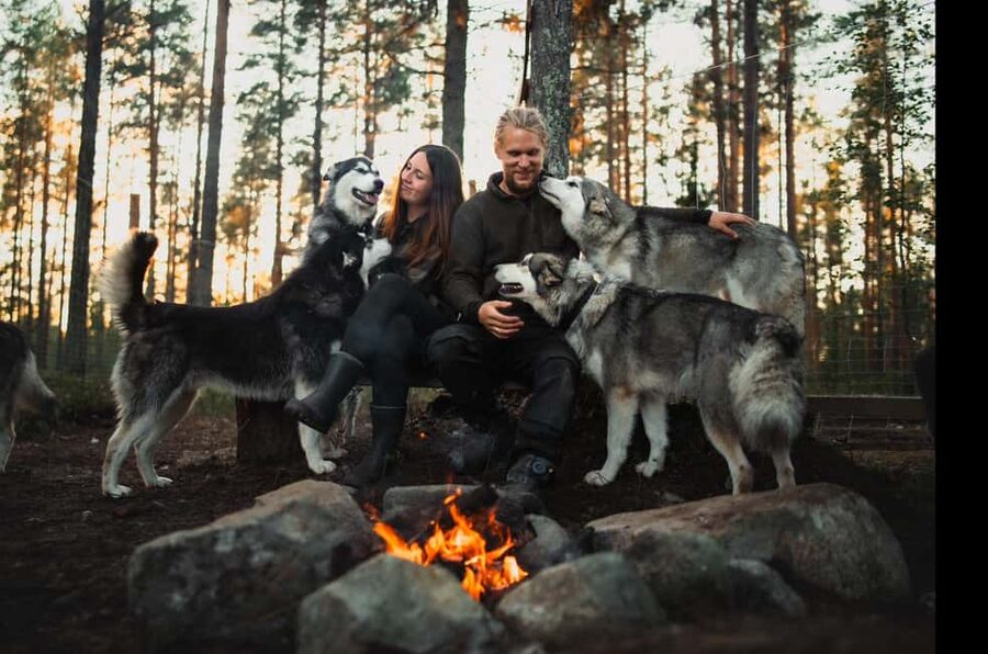Husky hike followed by a campfire near Skellefteå - Husky Hike and Campfire Near Skellefteå, What This Really Feels Like