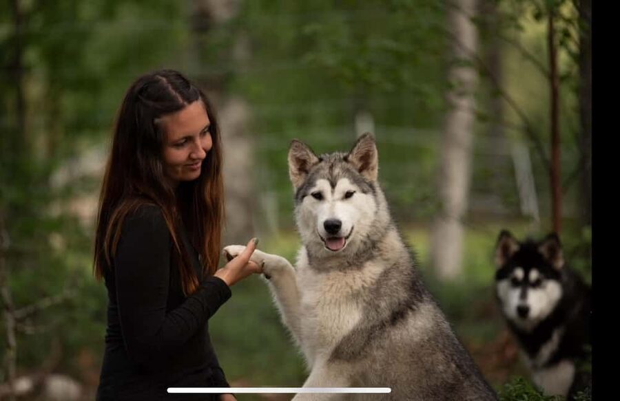 Husky hike followed by a campfire near Skellefteå - What to Wear: The One Item That Can Ruin the Fun Fast