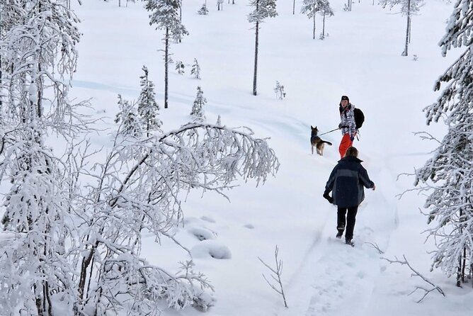 Husky Hike, Snowshoe hike with huskies - Quick Highlights