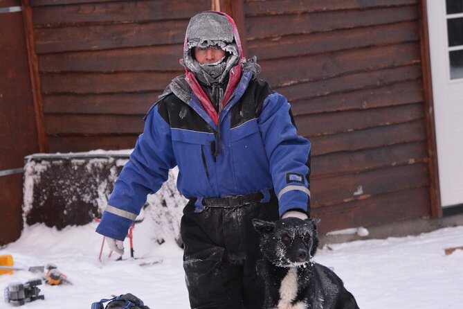 Husky Tour Sit and Drive Combo Tour from Kiruna - What the Husky Sit and Drive combo really is