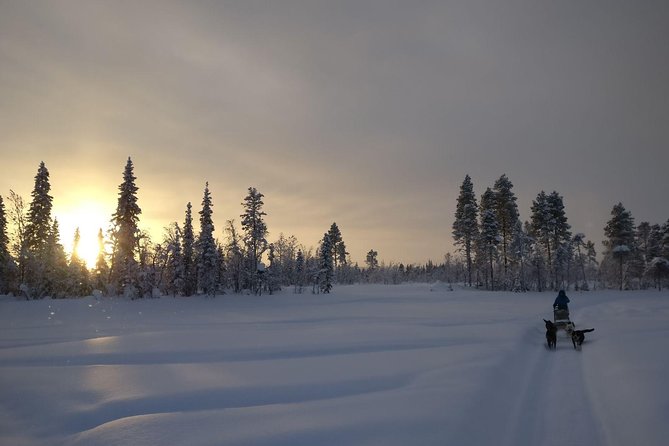 Husky Tour Sit and Drive Combo Tour from Kiruna - Arriving at Husky Tours Lapland: meeting the dogs and getting geared up