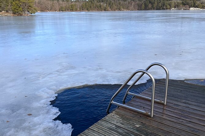 Icebathing and Sauna, Forest Hike and Fireplace Lunch - Private - Fireplace Cabin Lunch: Organic Local Food and Vegan Treats