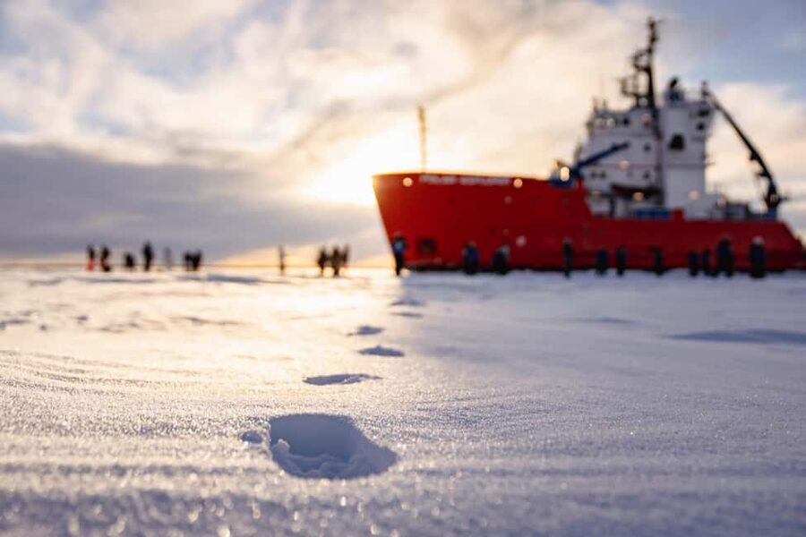Icebreaker Cruise 2 h - The main event: walking on frozen sea ice during the stop