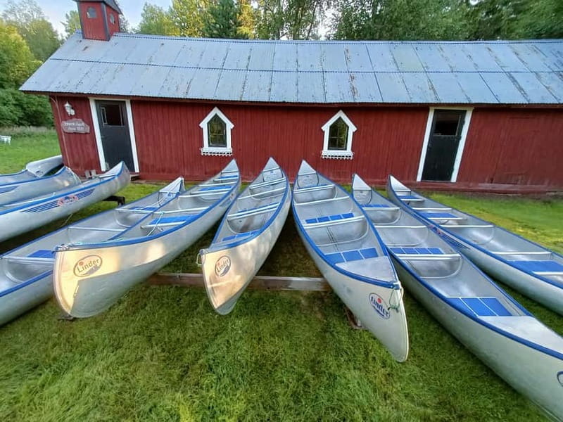Johannisholm: Guided Canoe Tour on Lake Venjanssjön - Tree-Covered Island Break for Refreshments and Exploring