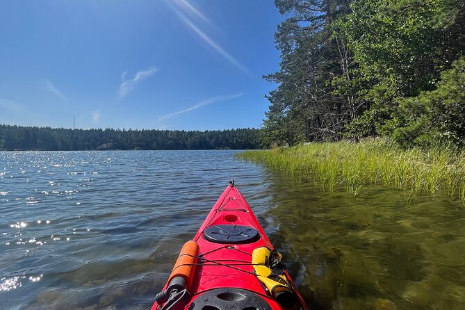 Kayak Tour in the Stockholm Archipelago with Lunch Meal - Time on the water: how the 6-hour plan works in real life
