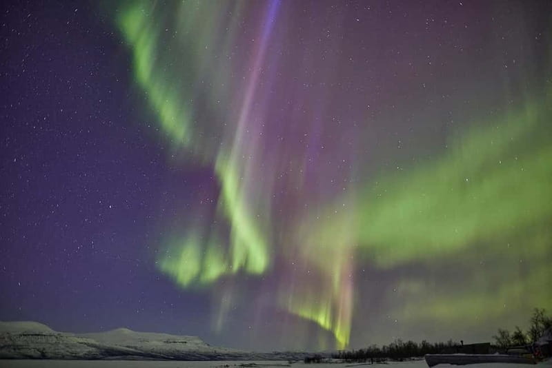 Kiruna: Abisko Northern Lights Tour with Dinner - A Northern Lights night built around more than the lights