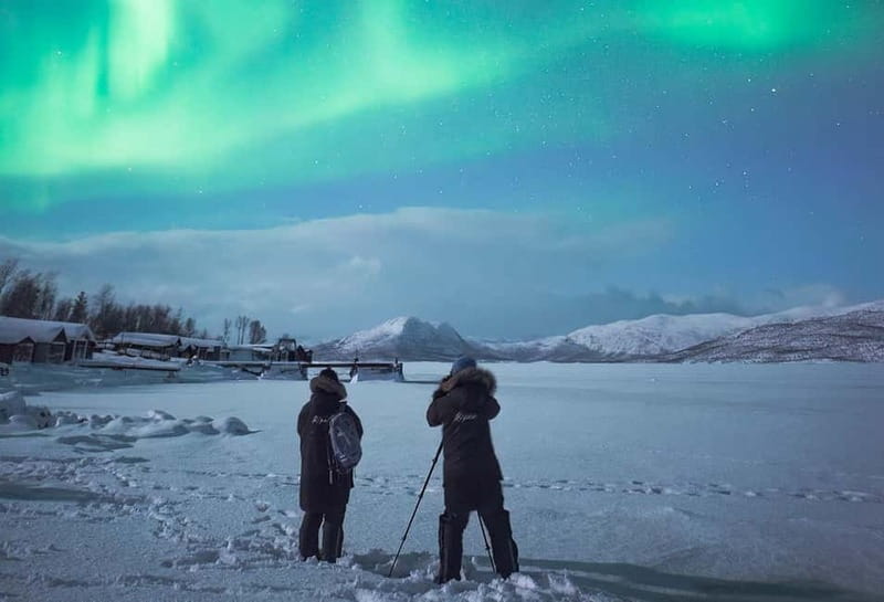 Kiruna: Abisko Northern Lights Tour with Dinner - Dinner in Abisko: warmth, 3 courses, and local stories