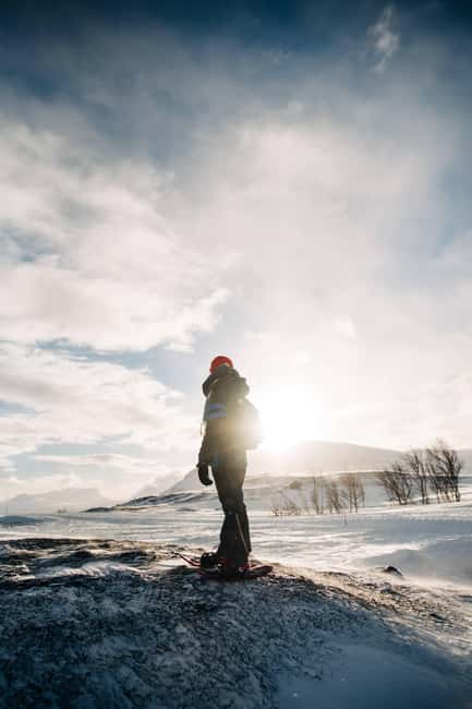 Kiruna: Daytime Snowshoe Hike - Kiruna Pickup and Your Morning Van-to-Woods Start