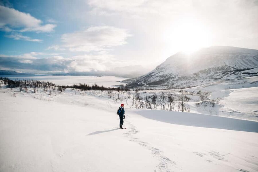 Kiruna: Daytime Snowshoe Hike - Wildlife Clues, Reindeer Possibilities, and Arctic Fox Tracks