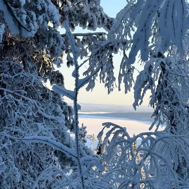 Kiruna: Daytime Snowshoe Hike - The Viewpoint Pause: Warm Drinks, Lingonberry Break, and Cold-Weather Relief