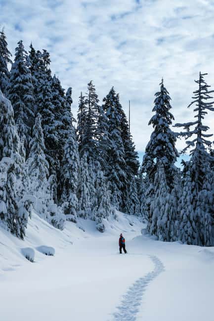 Kiruna: Daytime Snowshoe Hike - Snowshoes on in the Arctic: What the 3-Hour Walk Feels Like