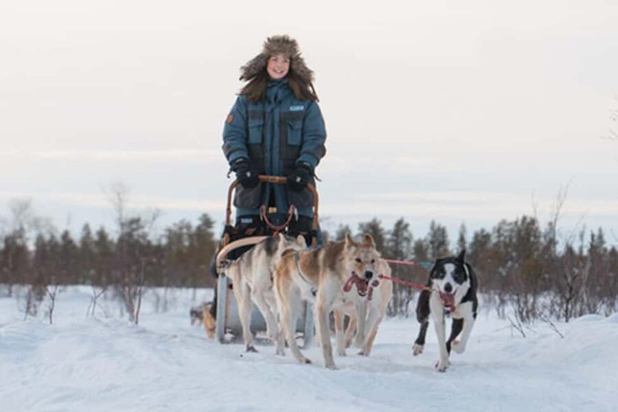Kiruna: Drive Your Own Team Lunch Tour - Quick Hits You’ll Care About