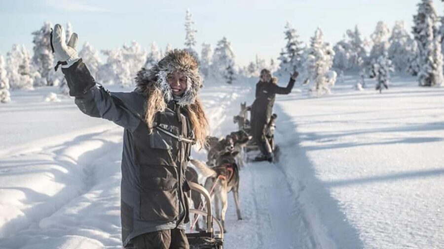 Kiruna: Drive Your Own Team Lunch Tour - Kiruna’s Husky-Driving Lunch: The Big Idea Behind This 4.5-Hour Trip