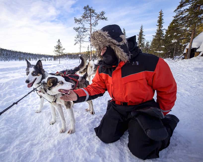 Kiruna: Drive Your Own Team Lunch Tour - Trail Time and Photo Chances: About 27 Kilometres of Lapland