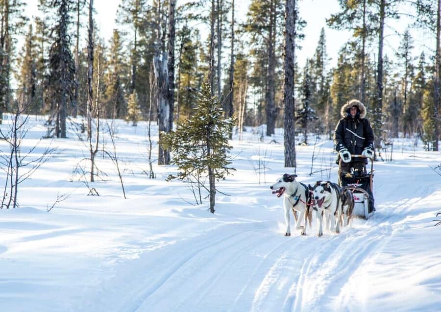 Kiruna: Drive Your Own Team Lunch Tour - Getting From Kiruna C to the Trail: Pickup, Van, and Being Ready for Cold