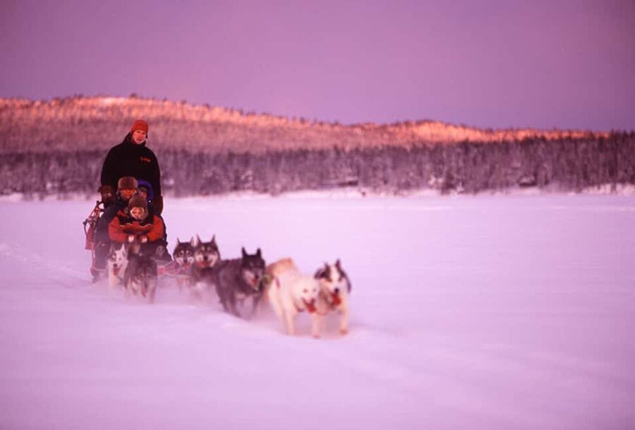 Kiruna: Family-friendly Short Husky Tour with Coffee - Meeting the Team, Pickup Timing, and Where You Start in Kiruna