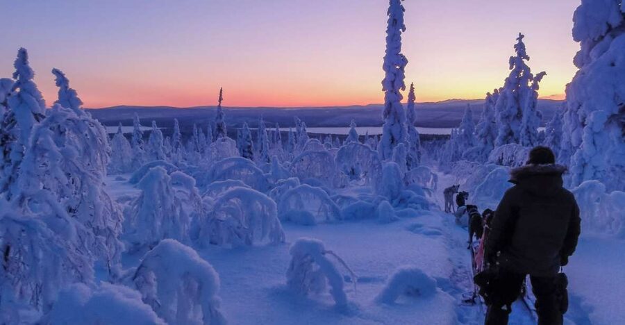 Kiruna: Guided Afternoon Drive Your Own Dog Sled Tour - Meeting the dogs at Kalixforsbron and getting kitted up