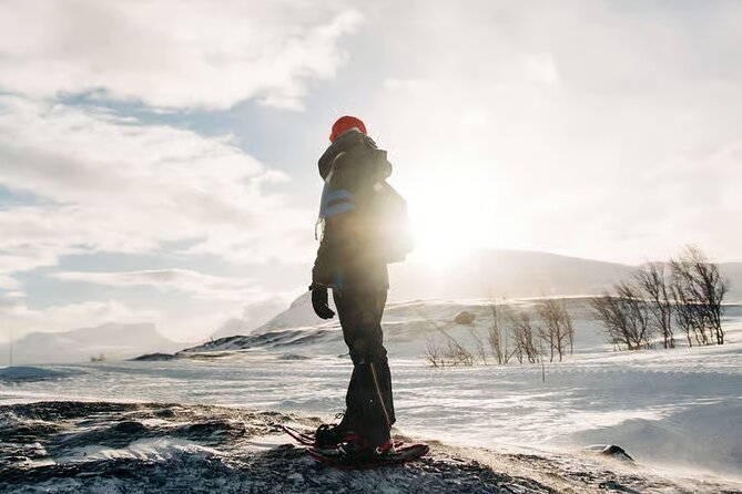 Kiruna Guided Daytime Snowshoe Hike - Key Highlights You Should Not Miss