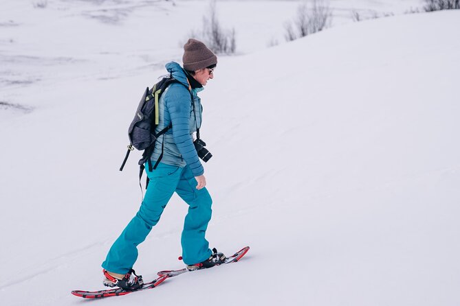 Kiruna Guided Daytime Snowshoe Hike - Kiruna by Day: Why This Snowshoe Hike Makes Sense
