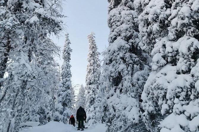 Kiruna Guided Daytime Snowshoe Hike - The Warm Drink Break With a View: Why It’s Built In