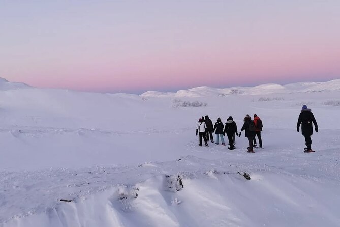 Kiruna Guided Daytime Snowshoe Hike - Group Size and Pace: Why Up to 8 Travelers Works