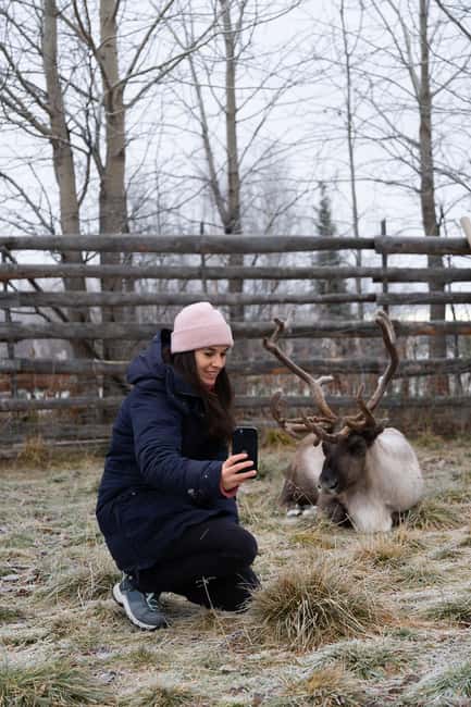 Kiruna: Icehotel and Sami Camp Day Trip - Why Jukkasjärvi Is the Right First Stop