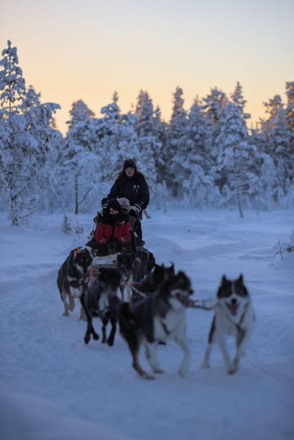Kiruna: Morning Husky Sled Ride with Coffee Break - Who this husky ride is for, and who should skip it