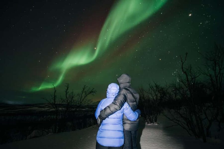Kiruna: Northern Lights Chase with Car - Pickup Timing in Kiruna: What Your Night Schedule Really Looks Like