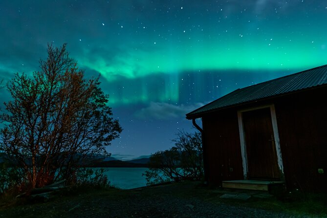 Kiruna Northern Lights Tour with Photographer - Price and value: what $223.72 covers (and what it does not)