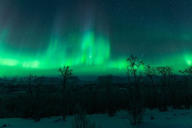 Kiruna Northern Lights Tour with Photographer - What they feed you, and why warm breaks matter