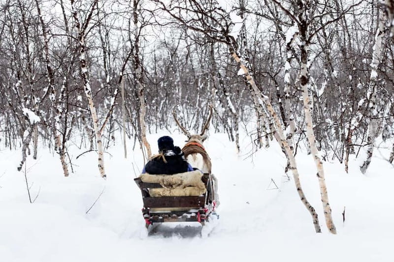 KIRUNA: Reindeer Sled Ride in the Countryside - Key Things I’d Mark on Your Winter Map