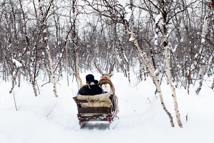 KIRUNA: Reindeer Sled Ride in the Countryside - Price and Value for a 3-hour Kiruna Winter Adventure