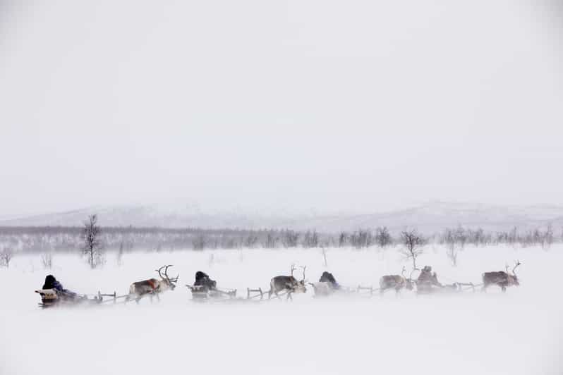 KIRUNA: Reindeer Sled Ride in the Countryside - Practical Winter Tips: What to Bring and How to Stay Comfortable