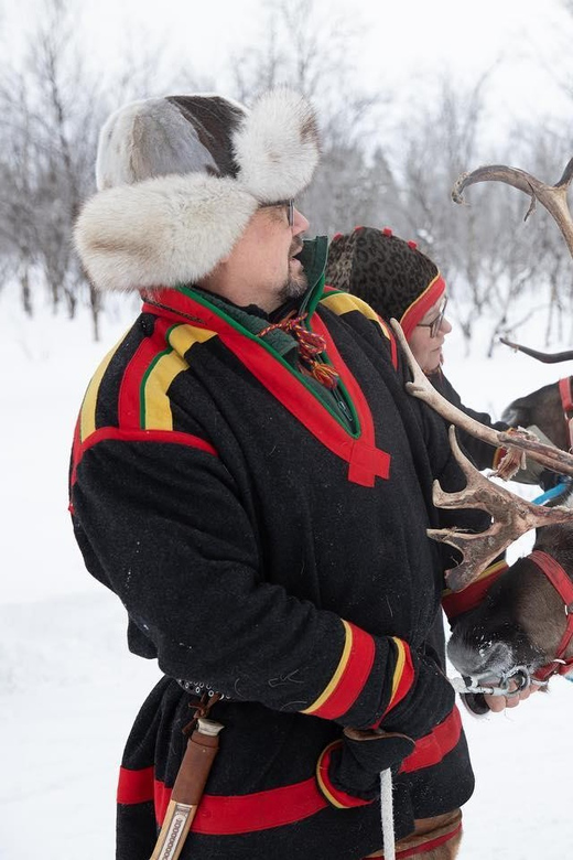 KIRUNA: Sami Reindeer Experience - Should you book? My honest call