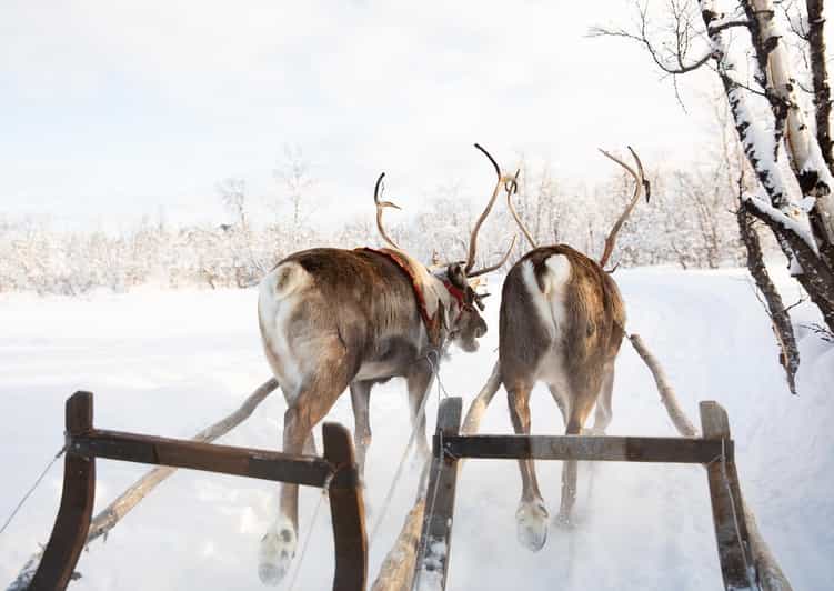 KIRUNA: Sami Reindeer Experience - Practical tips for a smoother winter experience